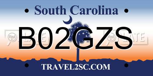 B02GZS South Carolina License Plate
