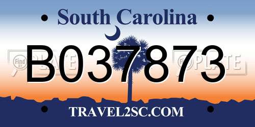 B037873 South Carolina License Plate