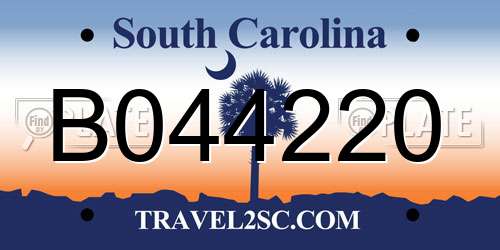 B044220 South Carolina License Plate