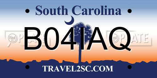 B04IAQ South Carolina License Plate