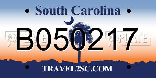 B050217 South Carolina License Plate
