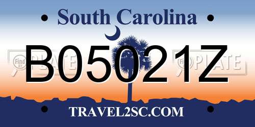 B05021Z South Carolina License Plate