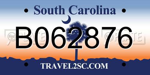 B062876 South Carolina License Plate