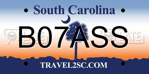 B07ASS South Carolina License Plate