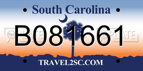 B081661 South Carolina License Plate