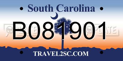 B081901 South Carolina License Plate
