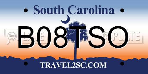 B08TSO South Carolina License Plate