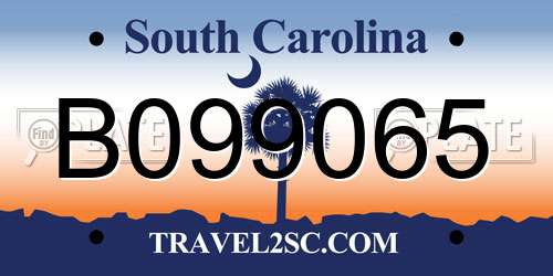 B099065 South Carolina License Plate