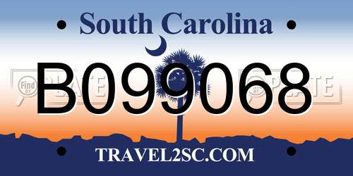 B099068 South Carolina License Plate