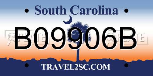 B09906B South Carolina License Plate