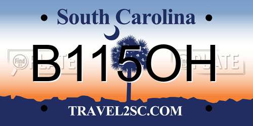 B115OH South Carolina License Plate