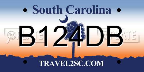 B124DB South Carolina License Plate