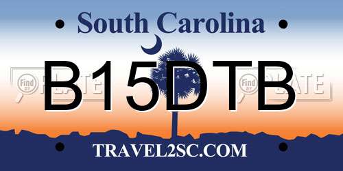 B15DTB South Carolina License Plate