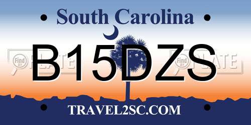 B15DZS South Carolina License Plate