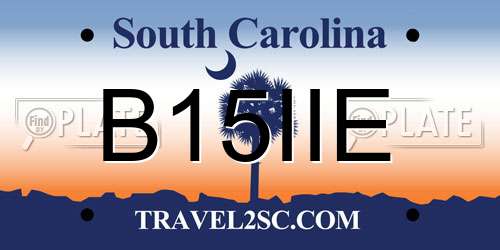 B15IIE South Carolina License Plate