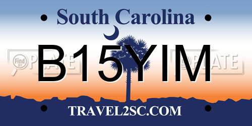 B15YIM South Carolina License Plate