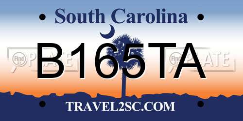 B165TA South Carolina License Plate
