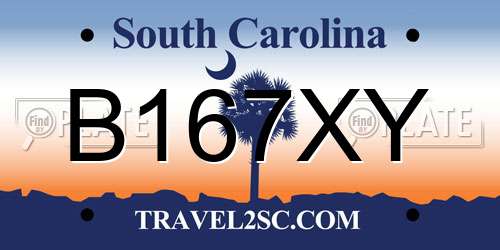 B167XY South Carolina License Plate