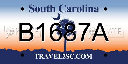 B1687A South Carolina License Plate