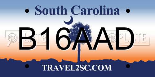 B16AAD South Carolina License Plate