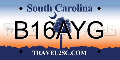 B16AYG South Carolina License Plate