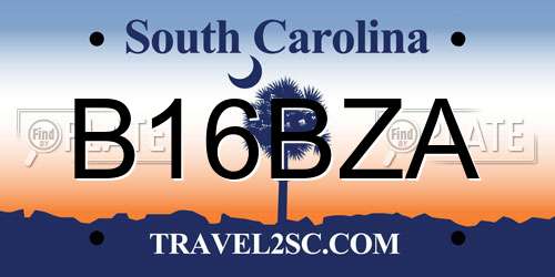 B16BZA South Carolina License Plate