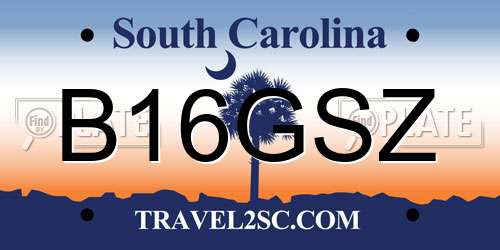 B16GSZ South Carolina License Plate
