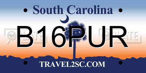 B16PUR South Carolina License Plate