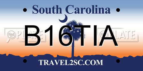 B16TIA South Carolina License Plate
