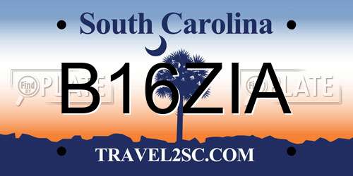 B16ZIA South Carolina License Plate
