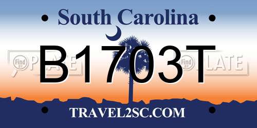 B1703T South Carolina License Plate