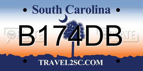 B174DB South Carolina License Plate