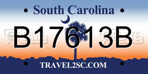 B17613B South Carolina License Plate