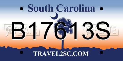 B17613S South Carolina License Plate