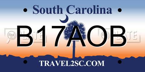 B17AOB South Carolina License Plate
