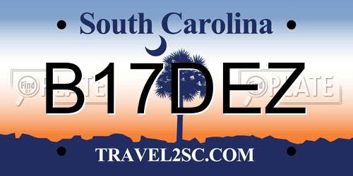B17DEZ South Carolina License Plate