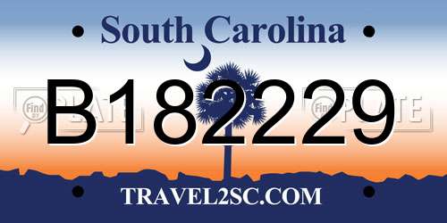 B182229 South Carolina License Plate