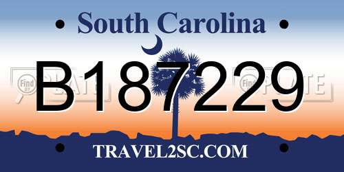 B187229 South Carolina License Plate