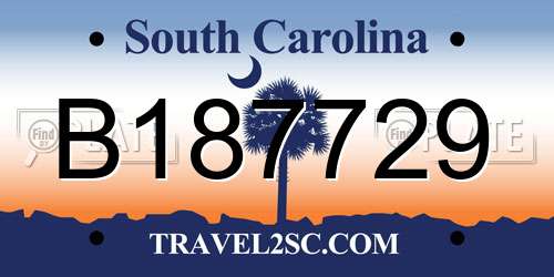 B187729 South Carolina License Plate