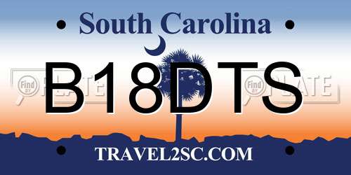 B18DTS South Carolina License Plate