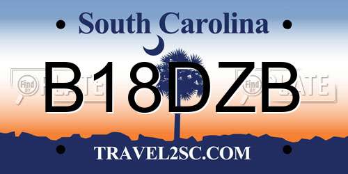 B18DZB South Carolina License Plate