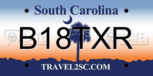 B18TXR South Carolina License Plate