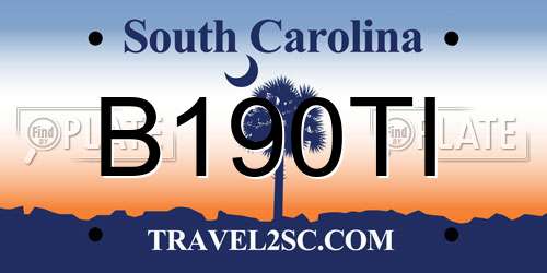 B190TI South Carolina License Plate