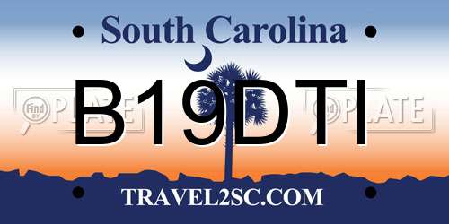 B19DTI South Carolina License Plate