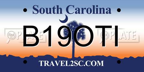 B19OTI South Carolina License Plate
