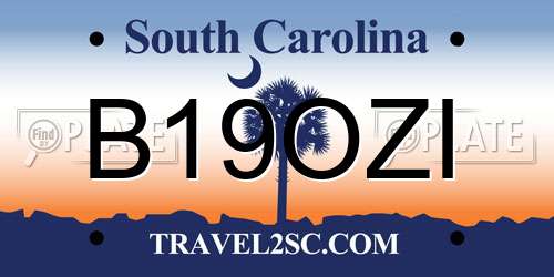 B19OZI South Carolina License Plate