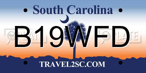 B19WFD South Carolina License Plate