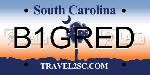 B1GRED South Carolina License Plate