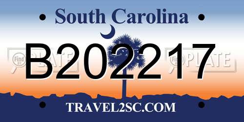 B202217 South Carolina License Plate