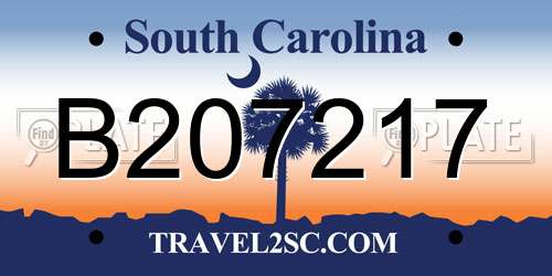 B207217 South Carolina License Plate